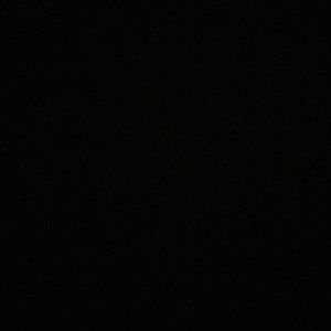 Lisa Frank Bundle Do Not Purchase